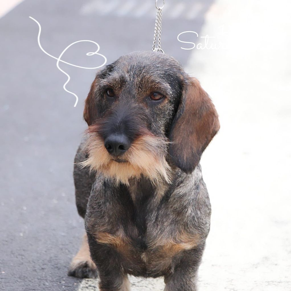 You never now schwarzwiese